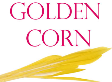 Golden Corn- Χρυσό καλαμπόκι
